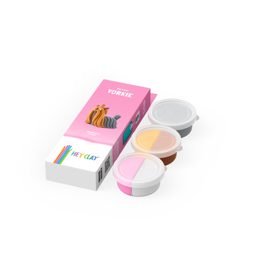 Hey Clay - Yorkshire Terriër