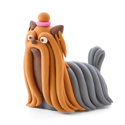 Hey Clay - Yorkshire Terriër