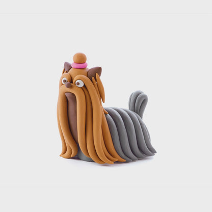 Hey Clay - Yorkshire Terriër